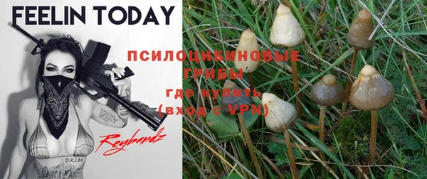 прущие крисы Армянск