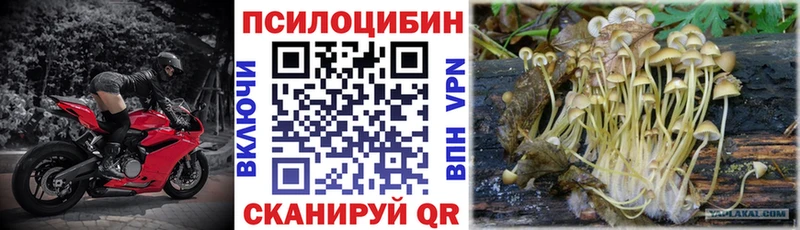 MEGA tor  Ялта  Галлюциногенные грибы Psilocybine cubensis  купить наркотик 